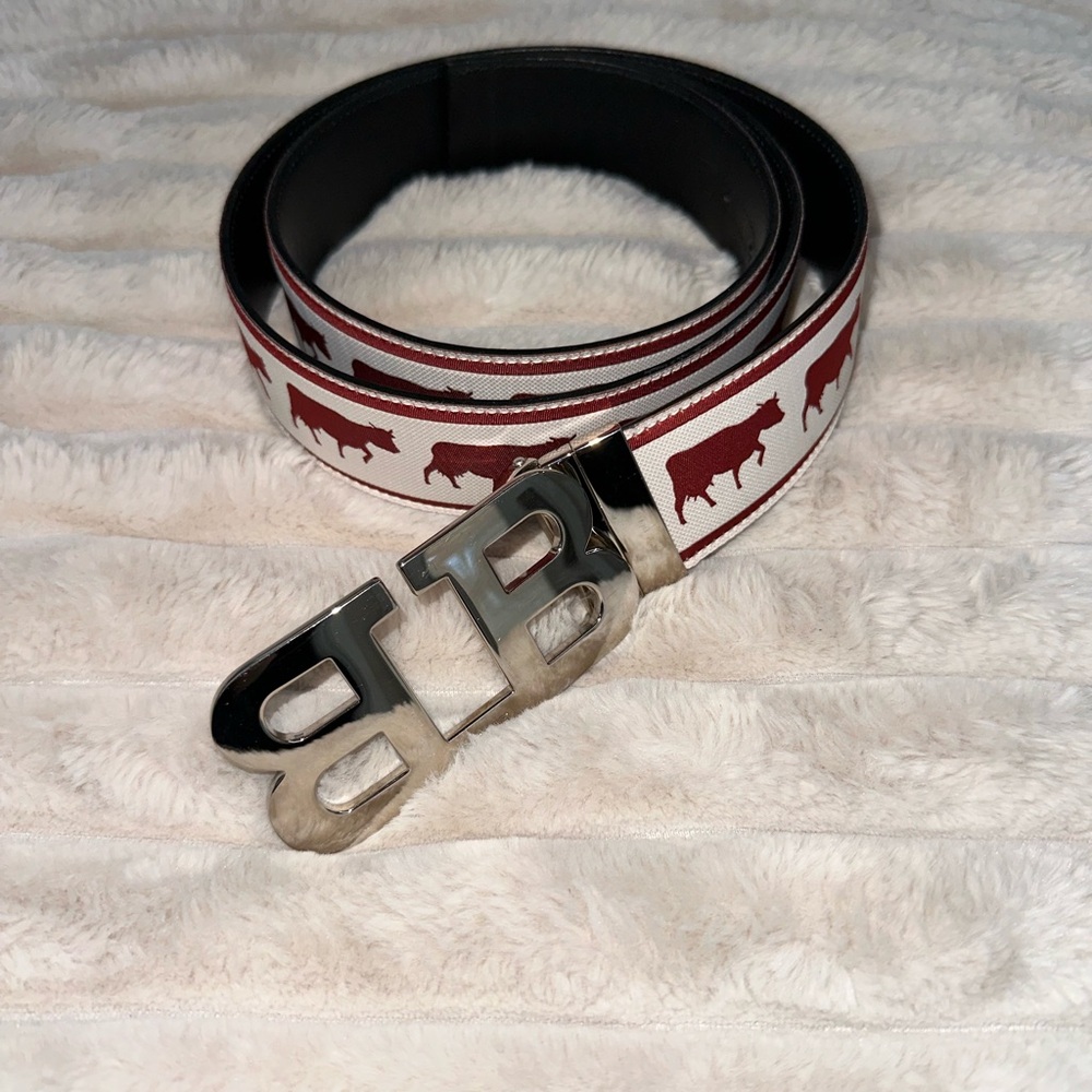 Red and White Belt with Silver Buckle